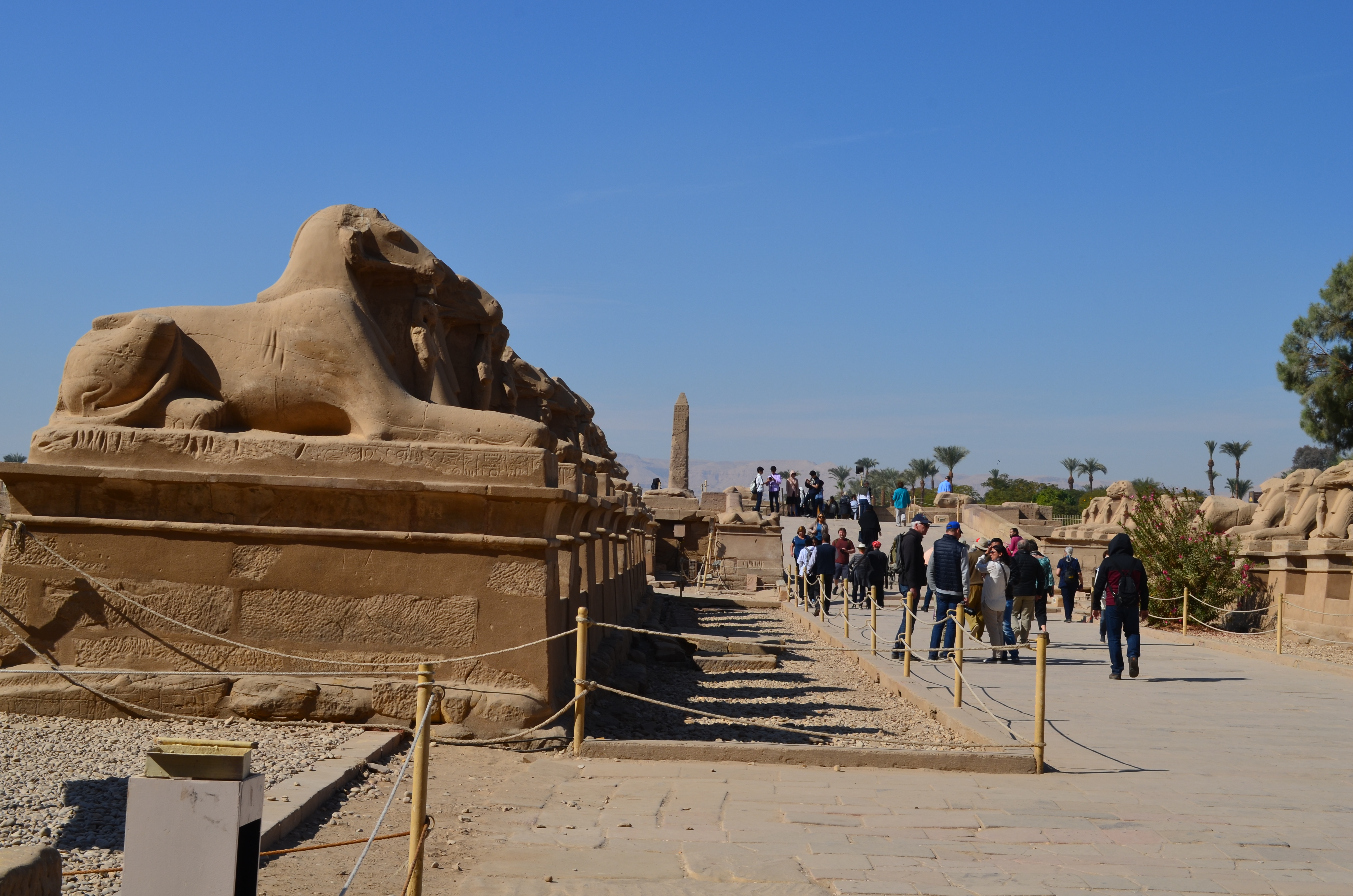 ./2018/16 - Egypt/04 - Luxor Day 1/DSC_0464.JPG